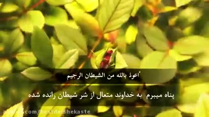 قرائت زیبای قران 