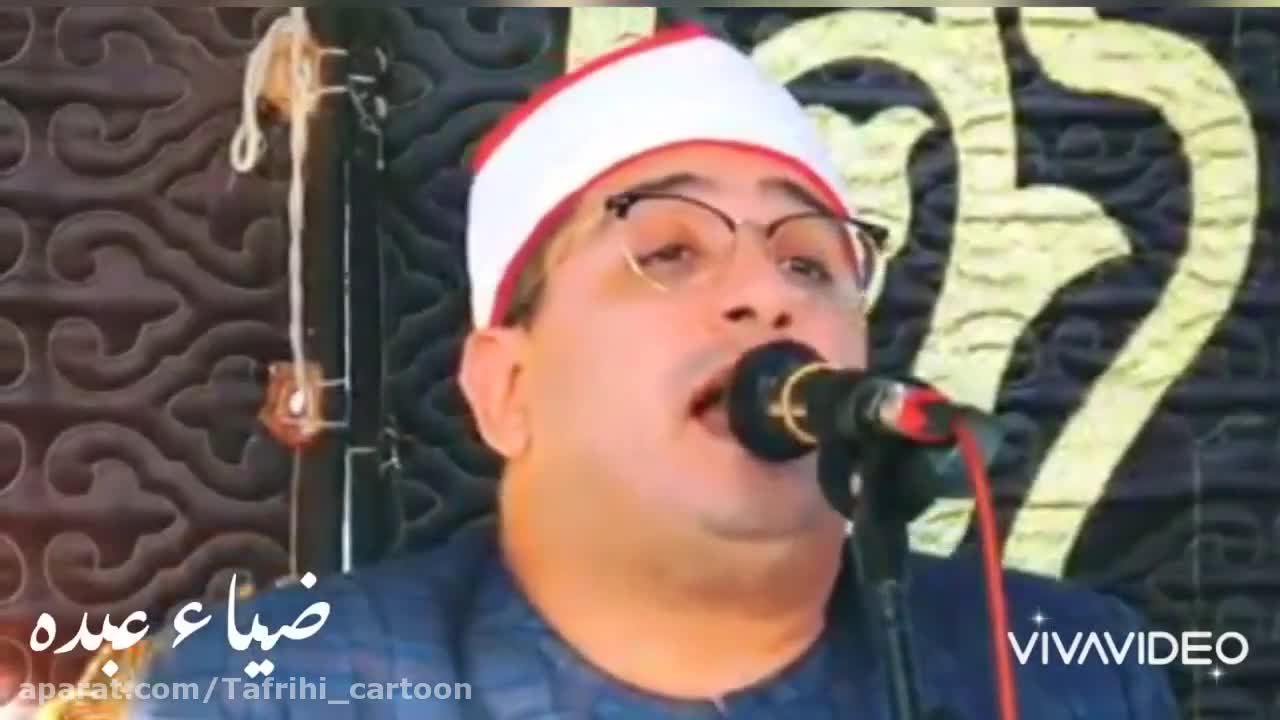 استاد شحات انور