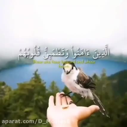 آرامش قلبها