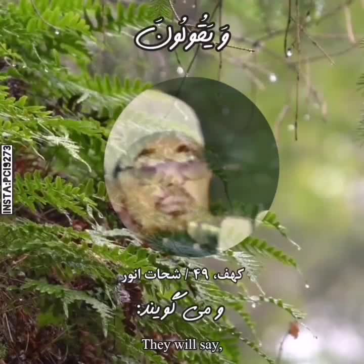 استاد محمد شحات انور