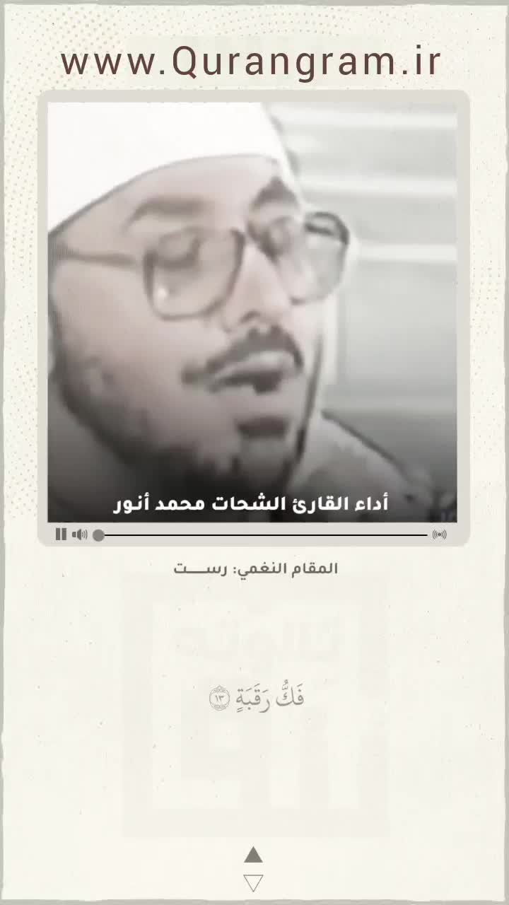 استاد محمد شحات انور