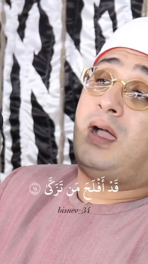 استاد محمود شحات انور