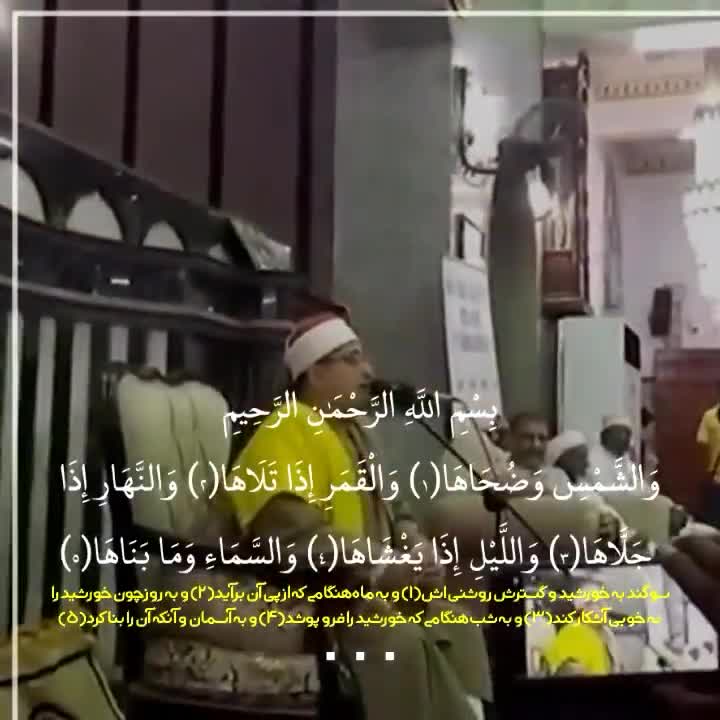 استاد محمود شحات انور