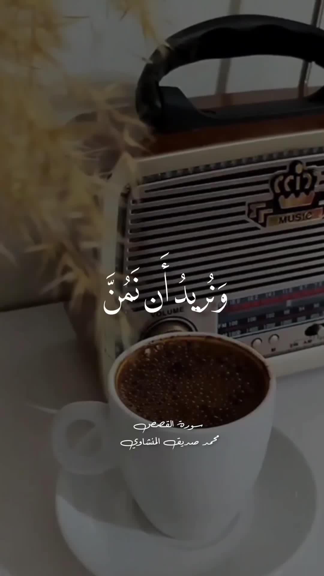 استاد منشاوی